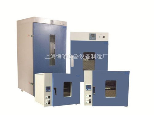 DHG-9240A立式250度鼓風(fēng)干燥箱 通用設(shè)備制造中的全能老化與烘烤專(zhuān)家